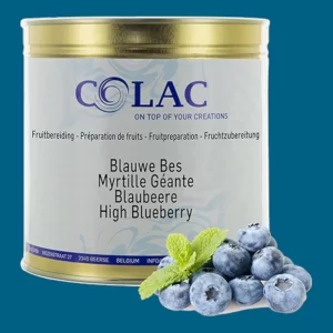 BLEUET BLUEBERRY FRUIT PREPARATION 3 kg CAN