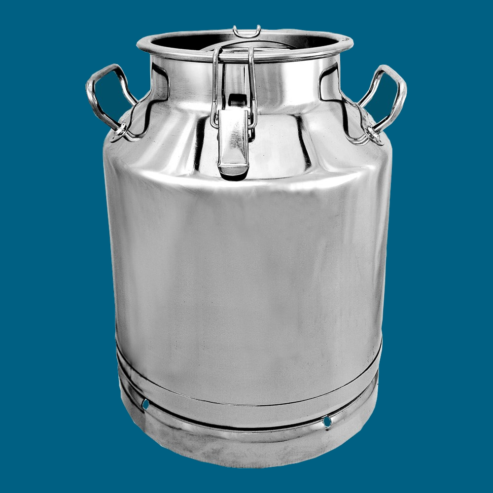 Bidon à Lait en Acier Inoxydable 8 Gal 30L, Pot à Lait avec