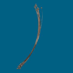 PAQUET DE 10 FILS POUR LYRES 17 CM