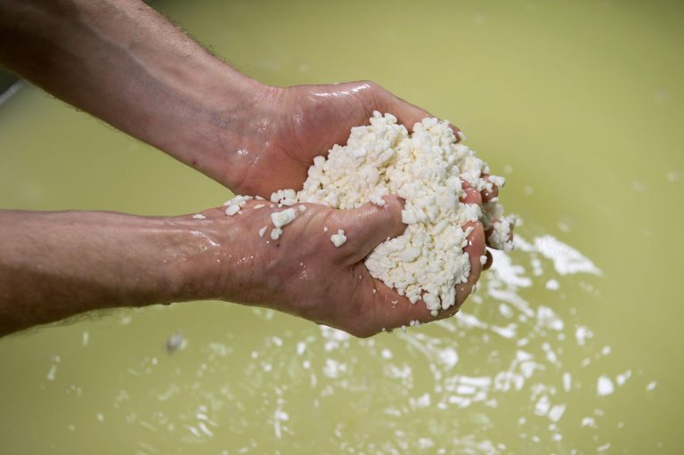 Journée Technique Fromagère Occitanie – Annulée