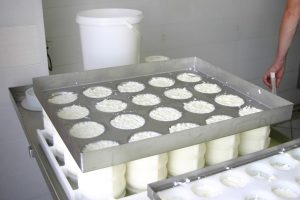 La maîtrise du rendement fromager