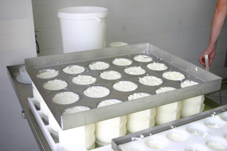 La maîtrise du rendement fromager