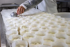 Salage du lait en technologie lactique