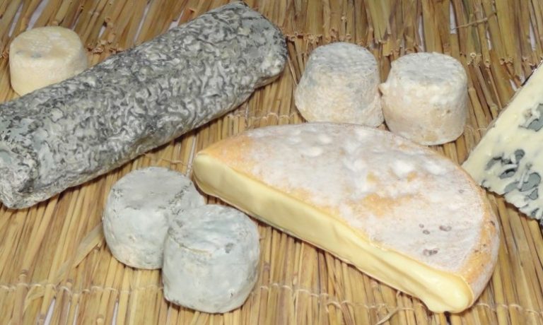CONCOURS DE FROMAGES FERMIERS DEPARTEMENTAL – FROM IN RHONE